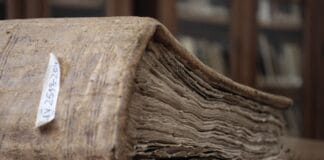 Tydzień książki – przedszkolna podróż do świata literatury