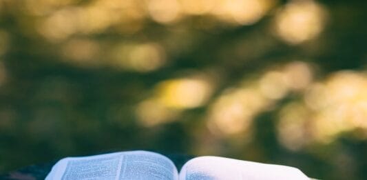 Karty pracy na każdy tydzień – pobierz i drukuj