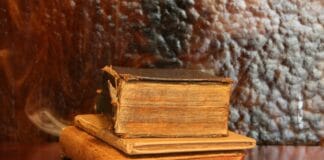 Montessori kontra edukacja tradycyjna – największe różnice