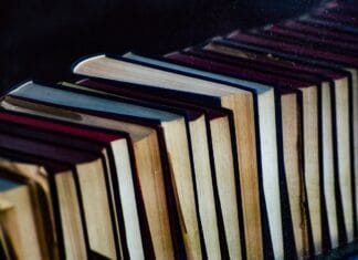 Wysoka wrażliwość – jak nie pomylić z „trudnym dzieckiem”?